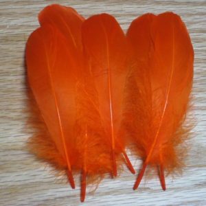 Goose Biot Feathers